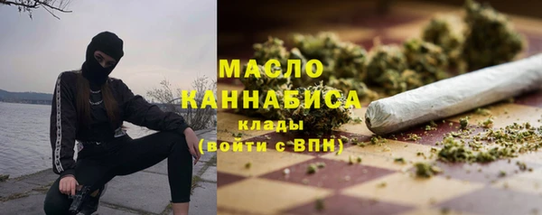 индика Арсеньев
