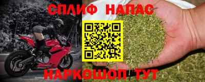 шишки Канаш