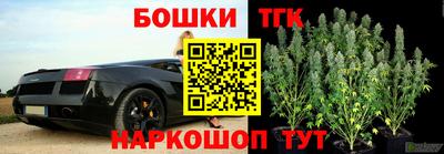 шишки Канаш