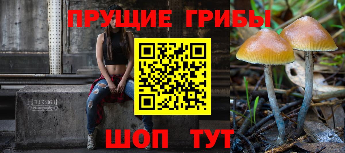 Псилоцибиновые грибы мицелий Черняховск