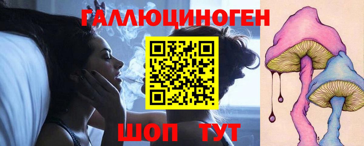 Псилоцибиновые грибы GOLDEN TEACHER  Черняховск  Галлюциногенные грибы Psilocybe 